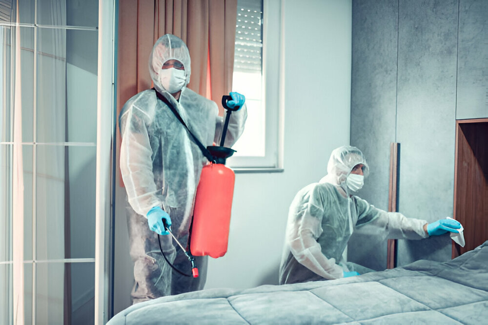 Bed Bug Control Newmarket