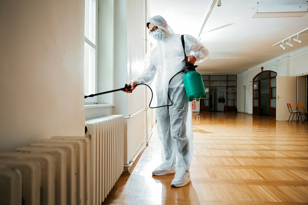 Residential Pest Control Newmarket